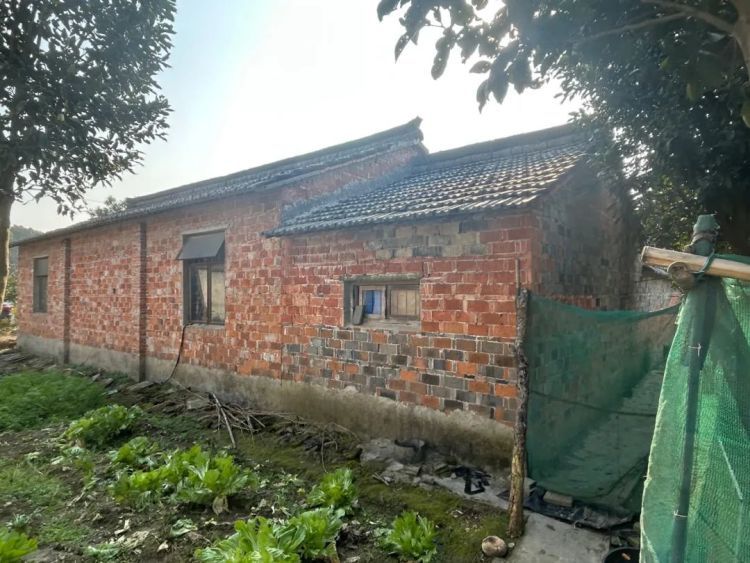 杭州严查此类违法行为！已有多人被采取刑事强制措施