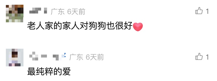 75岁老人病逝，狗狗随主人一同离世...网友泪目：最纯粹的爱