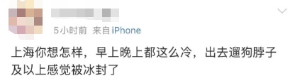假升温真阴冷，上海天气大转折！最后一个台风或将登场