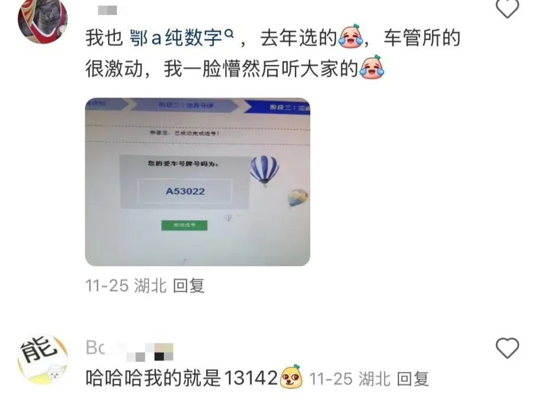 鄂A纯数字号牌大量发放?武汉公安交管部门回应 鄂A纯数字号牌大量发放?武汉公安交管部门回应