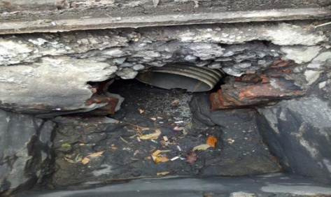 @上海人 这周准备迎接"阴冷魔法"！这股味道你闻到过吗→