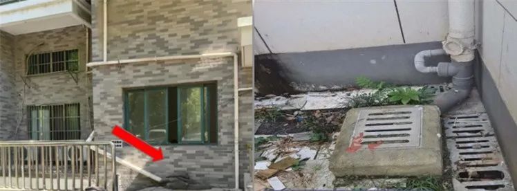 @上海人 这周准备迎接"阴冷魔法"！这股味道你闻到过吗→