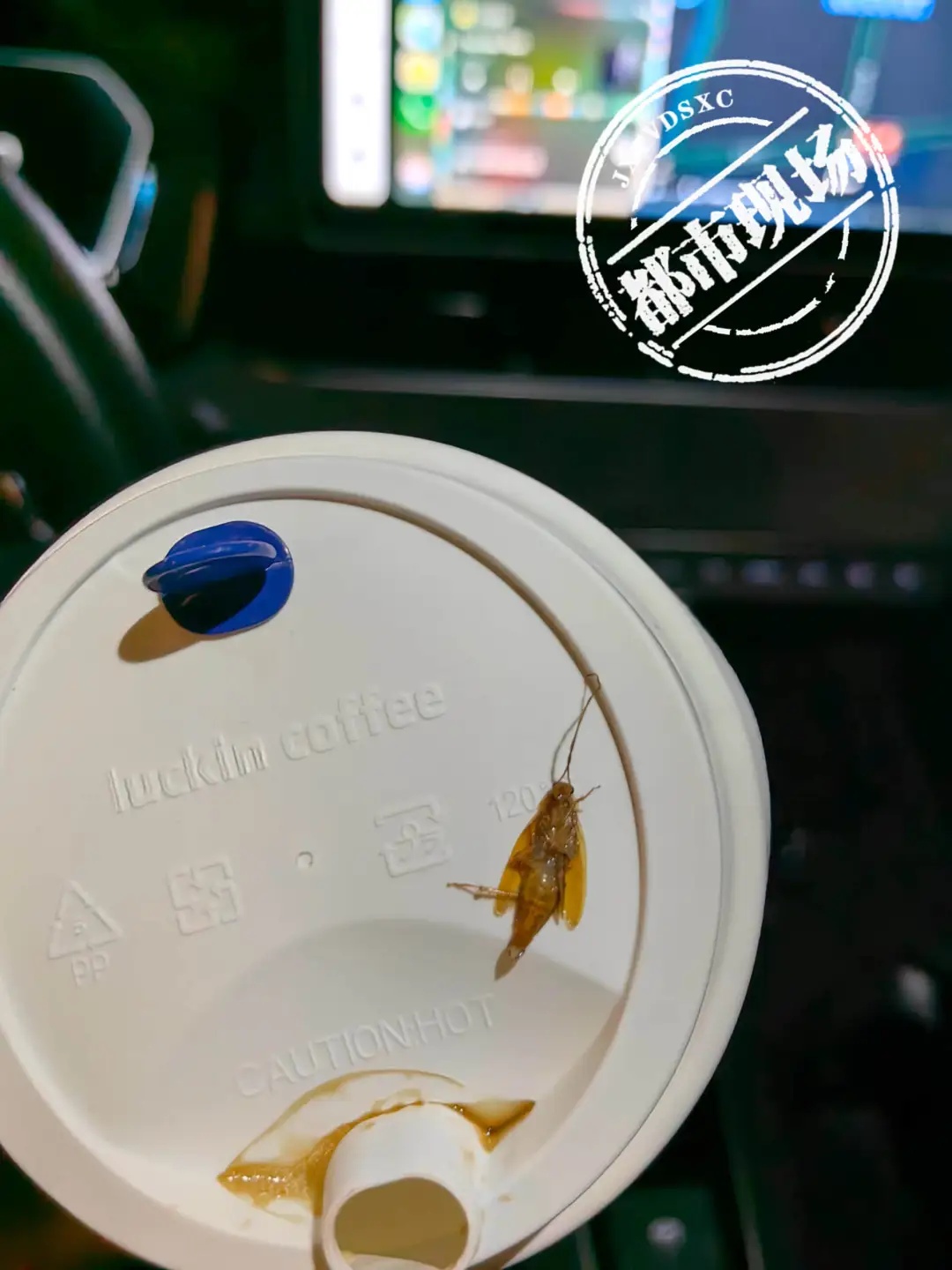 “产品喝出蟑螂”?瑞幸最新回应 “产品喝出蟑螂”?瑞幸最新回应