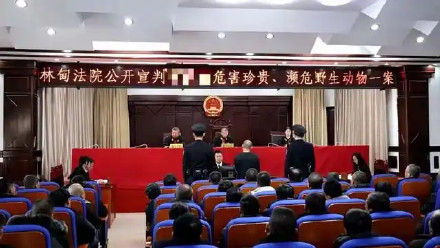 男子毒杀24只野生动物被判5年 男子毒杀24只野生动物被判5年