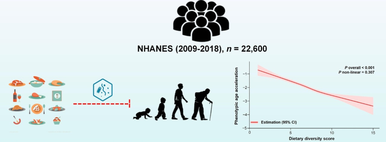 “会吃”的人更年轻 吃饭一个小改变可减慢衰老速度 “会吃”的人更年轻 吃饭一个小改变可减慢衰老速度