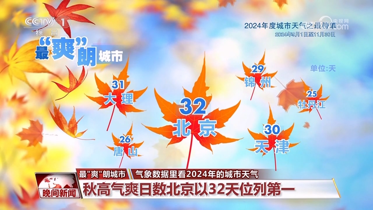气象数据里看2024年的城市天气