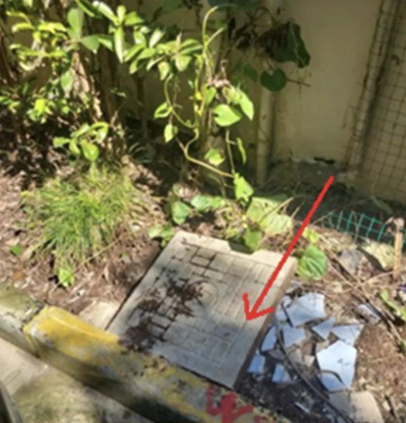 @上海人 这周准备迎接"阴冷魔法"！这股味道你闻到过吗→