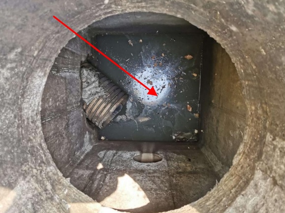 @上海人 这周准备迎接"阴冷魔法"！这股味道你闻到过吗→