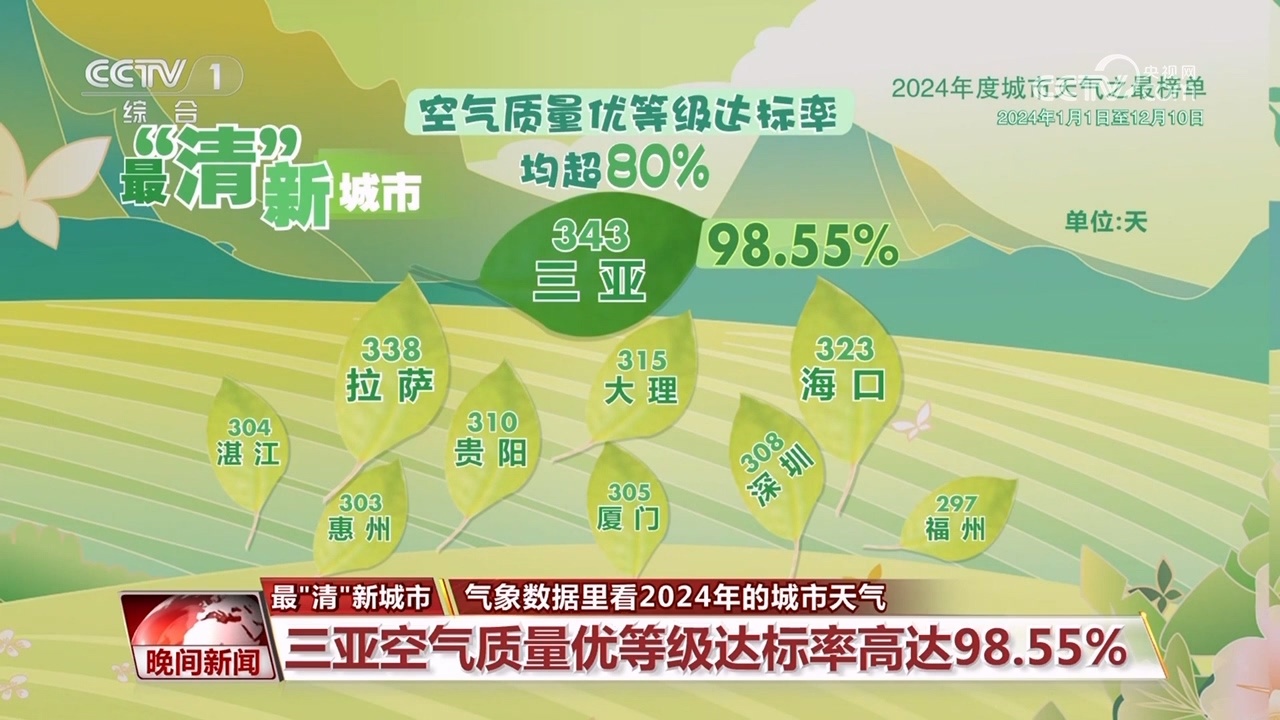 气象数据里看2024年的城市天气