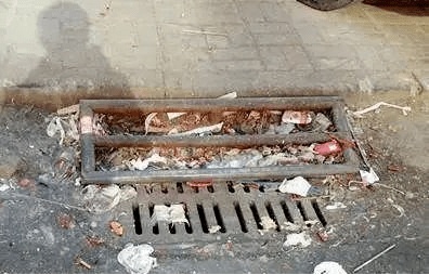 @上海人 这周准备迎接"阴冷魔法"！这股味道你闻到过吗→