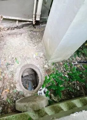 @上海人 这周准备迎接"阴冷魔法"！这股味道你闻到过吗→