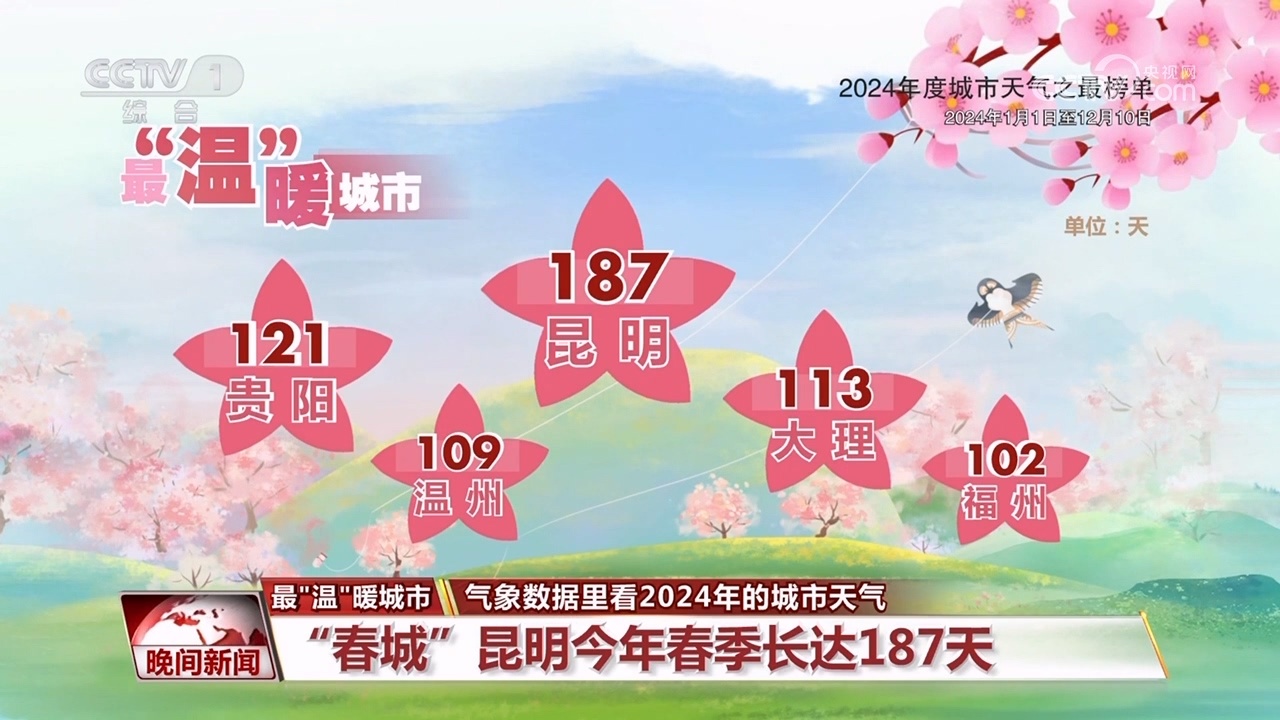 气象数据里看2024年的城市天气
