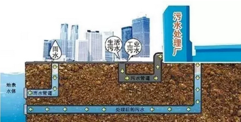 @上海人 这周准备迎接"阴冷魔法"！这股味道你闻到过吗→