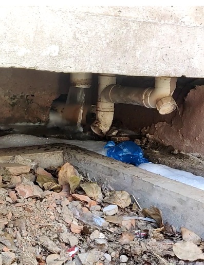 @上海人 这周准备迎接"阴冷魔法"！这股味道你闻到过吗→