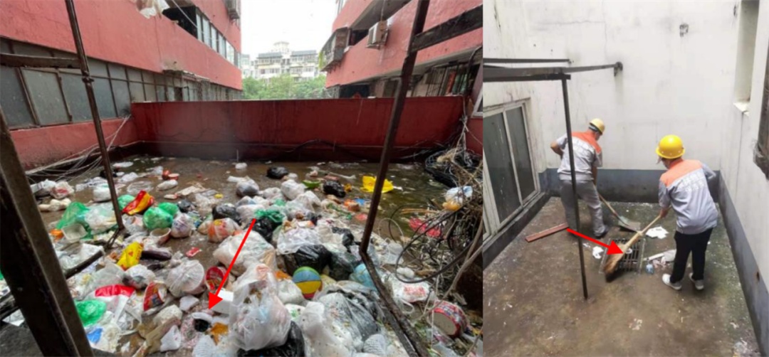 @上海人 这周准备迎接"阴冷魔法"！这股味道你闻到过吗→