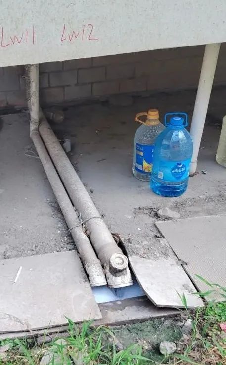 @上海人 这周准备迎接"阴冷魔法"！这股味道你闻到过吗→