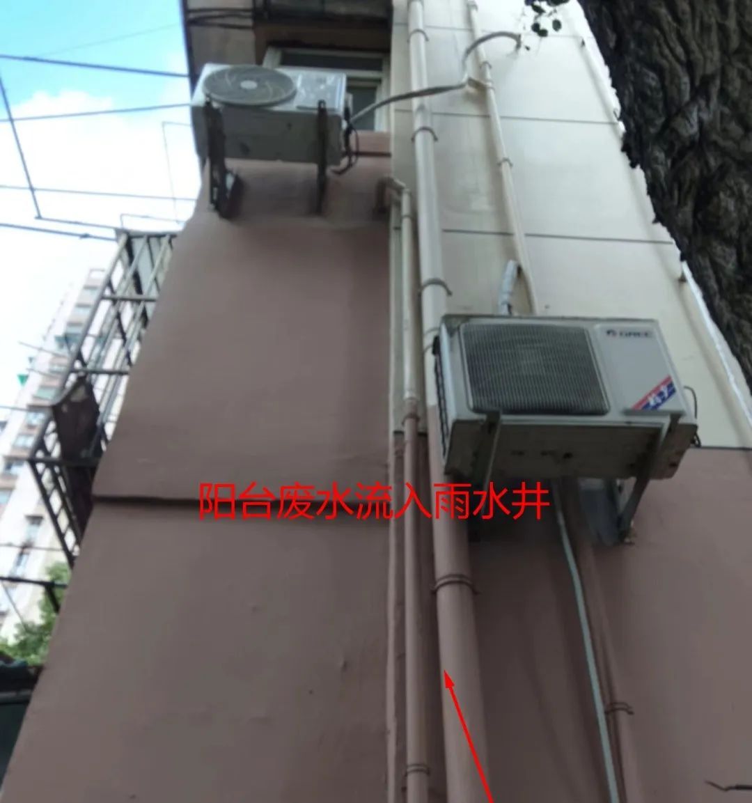 @上海人 这周准备迎接"阴冷魔法"！这股味道你闻到过吗→