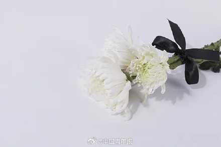 高考601分读殡葬：让死者有尊严，也要让生命的“摆渡人”有尊严