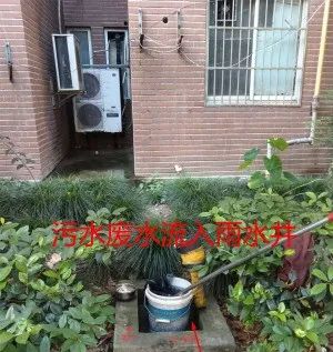 @上海人 这周准备迎接"阴冷魔法"！这股味道你闻到过吗→