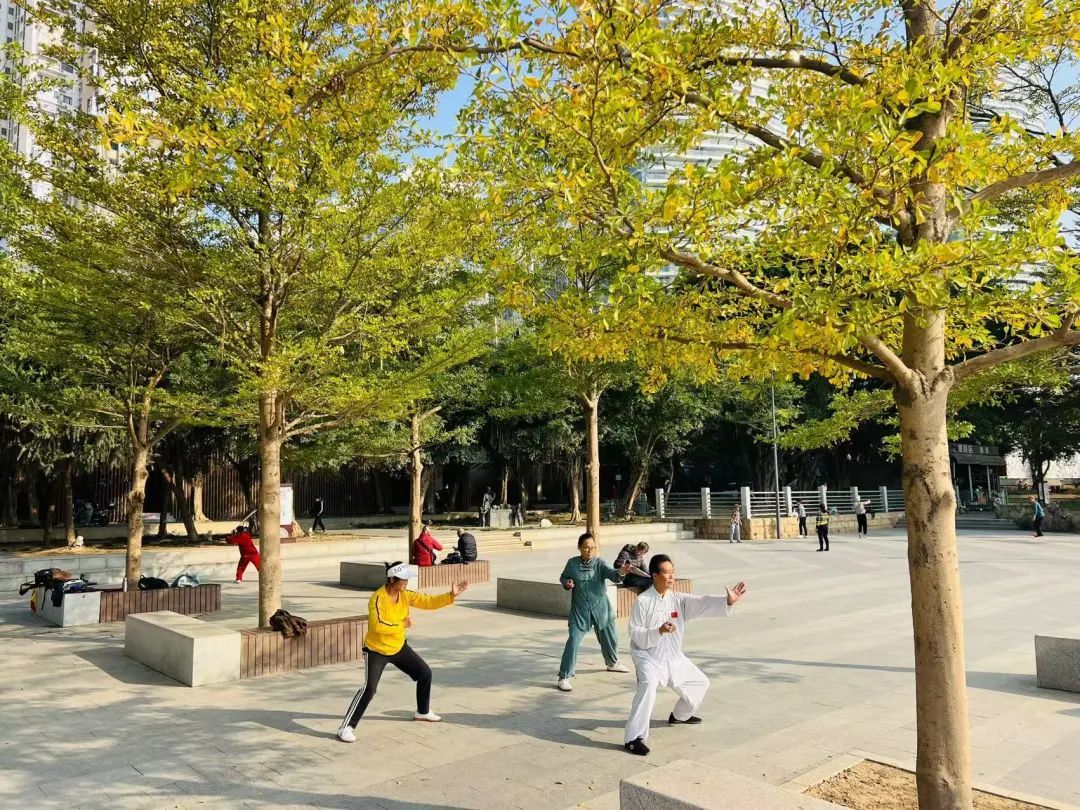 本周晴转阴 南宁将在干冷与湿冷间“摇摆” 本周晴转阴 南宁将在干冷与湿冷间“摇摆”