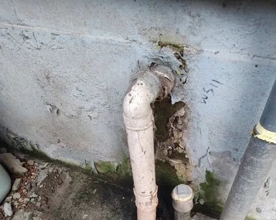 @上海人 这周准备迎接"阴冷魔法"！这股味道你闻到过吗→