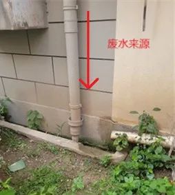 @上海人 这周准备迎接"阴冷魔法"！这股味道你闻到过吗→