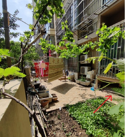 @上海人 这周准备迎接"阴冷魔法"！这股味道你闻到过吗→