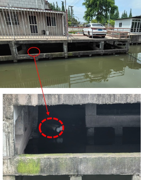 @上海人 这周准备迎接"阴冷魔法"！这股味道你闻到过吗→