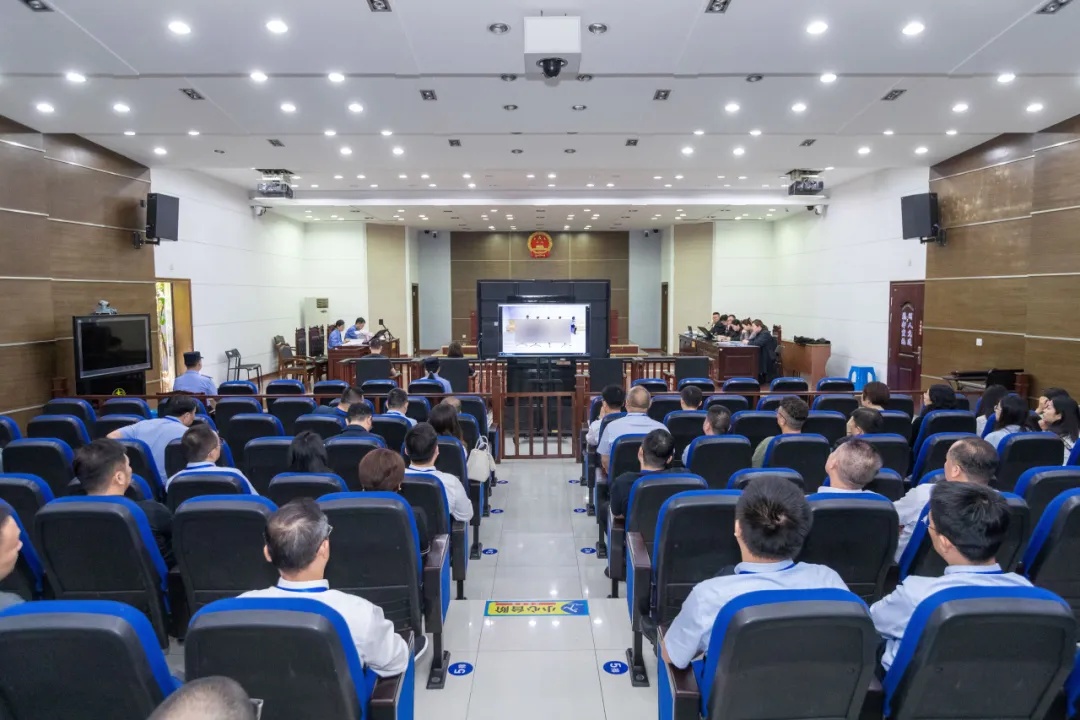 公司会计一个粗心操作，牵出一桩巨额洗钱案