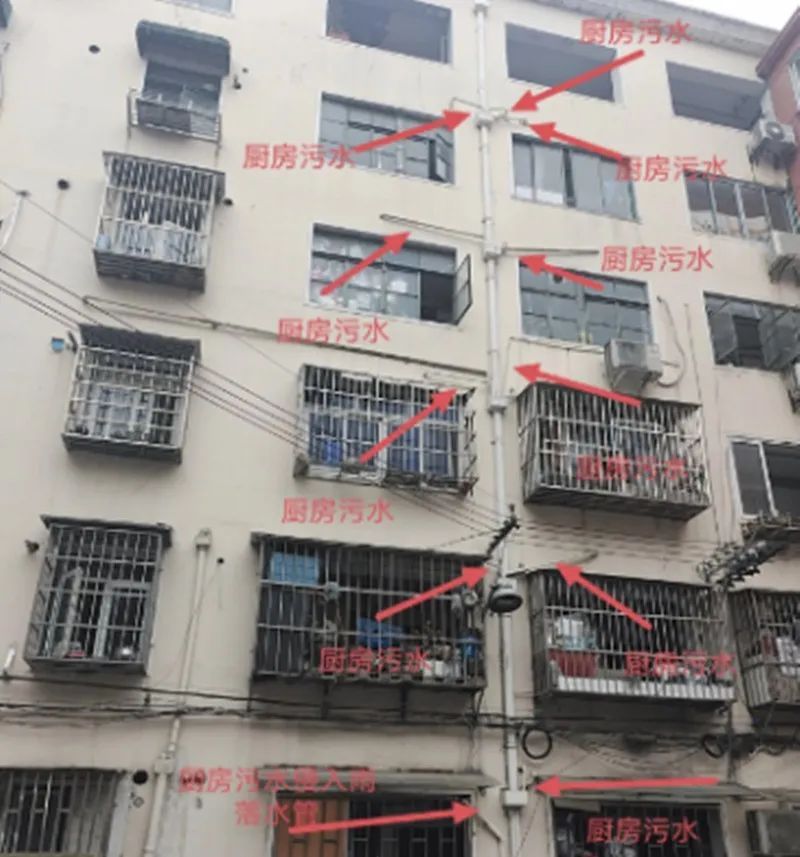 @上海人 这周准备迎接"阴冷魔法"！这股味道你闻到过吗→