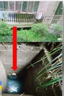 @上海人 这周准备迎接"阴冷魔法"！这股味道你闻到过吗→