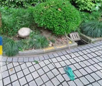 @上海人 这周准备迎接"阴冷魔法"！这股味道你闻到过吗→