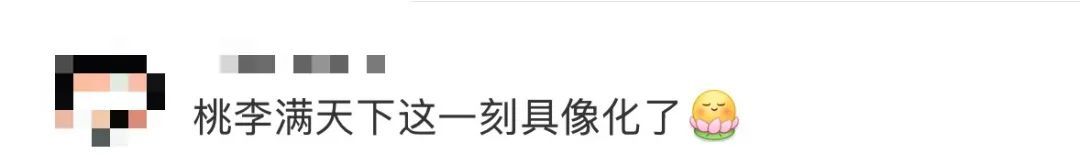 与张桂梅有关，传来两个新消息！真好......