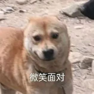 无人机+警犬，终于找到了！