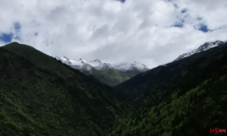 知名演员“悬崖照”爆火，切勿盲目跟风！