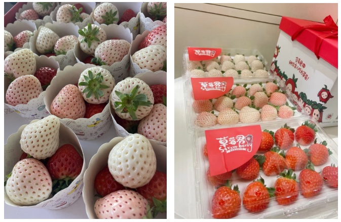 这样的草莓，劝你不要买！一文了解