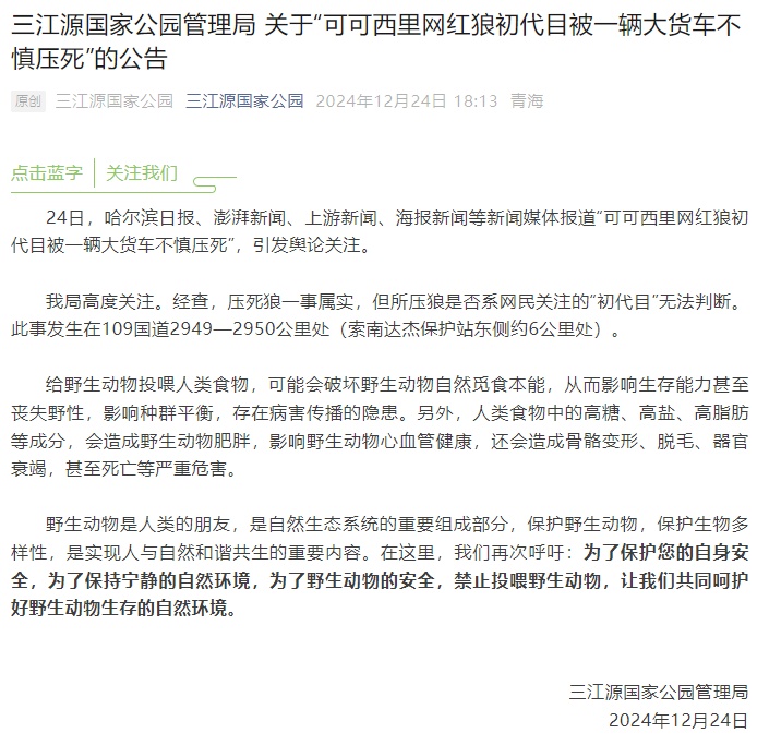担心的事发生了！“网红狼”被货车压死？官方通报
