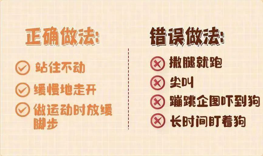 4岁男童被狗咬伤陷入昏迷 路遇恶犬袭击千万别做这4件事