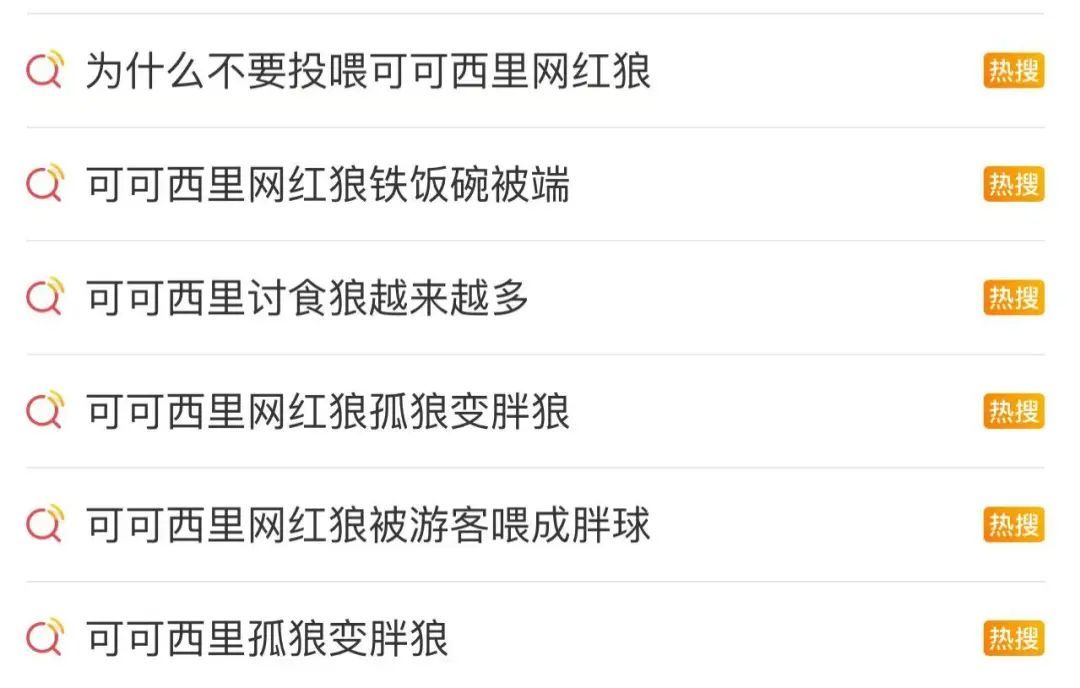 担心的事发生了！“网红狼”被货车压死？官方通报