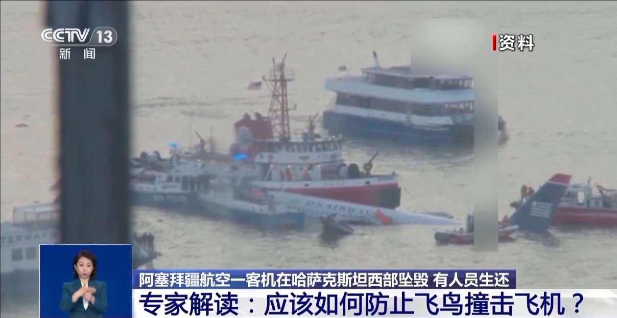 阿塞拜疆航空公司客机坠毁原因是飞鸟撞击？能躲开吗？专家分析