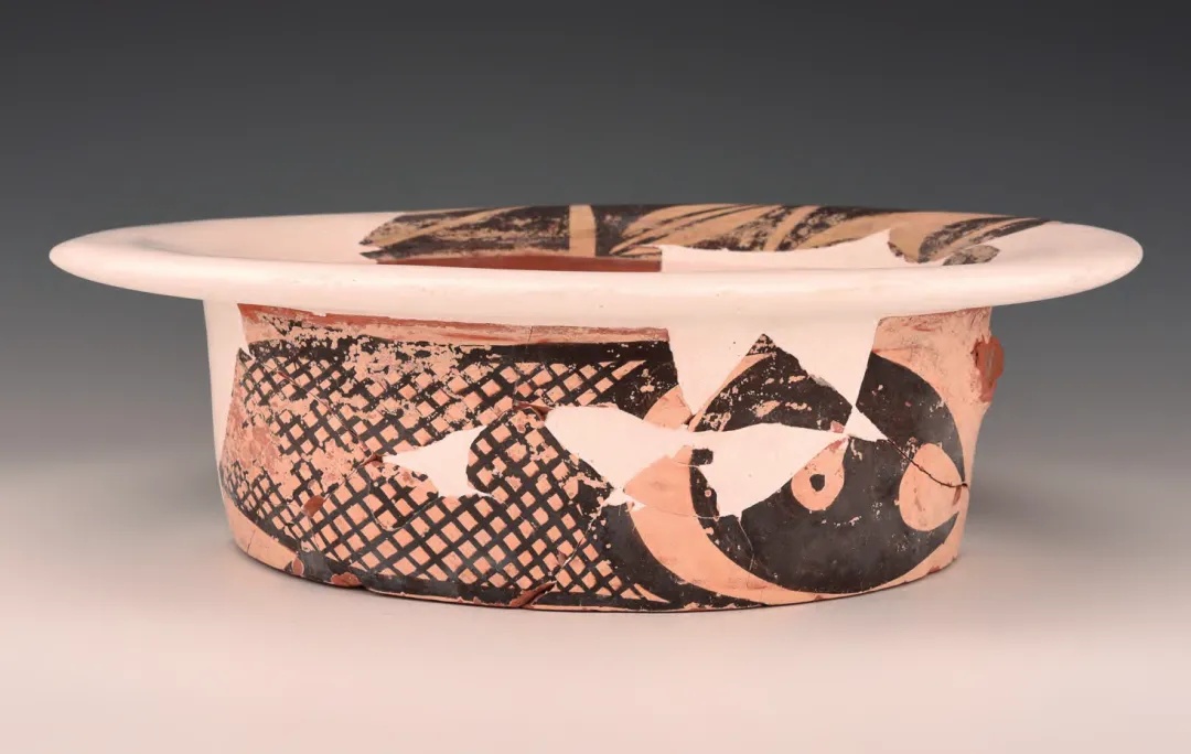 罕见考古发现！距今约5500年→