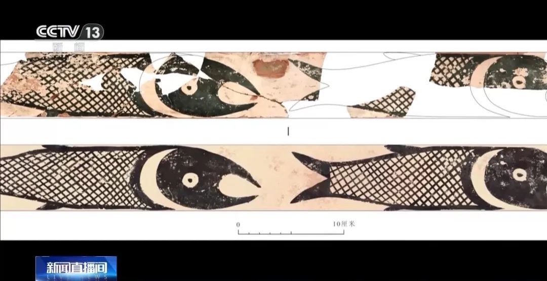 罕见考古发现！距今约5500年→