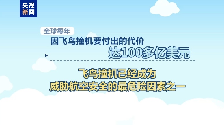 阿塞拜疆航空公司客机坠毁原因是飞鸟撞击？能躲开吗？专家分析