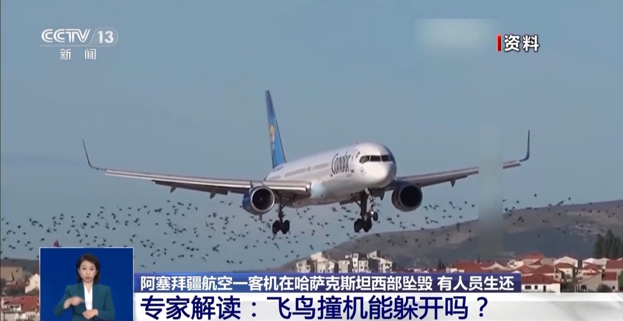 阿塞拜疆航空公司客机坠毁原因是飞鸟撞击？能躲开吗？专家分析