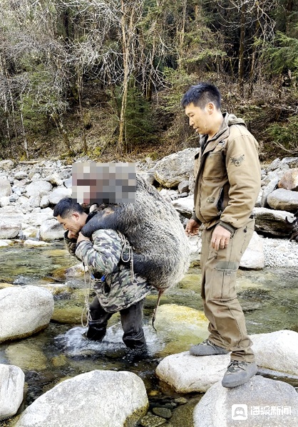 打猎还可以月入过万？野猪猎人回应