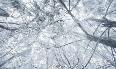 雾凇只能在北方看到吗？哪里雾凇最容易出现？揭秘来啦