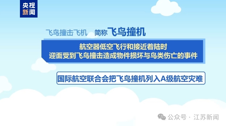 已确认38人遇难！阿航客机坠毁最新消息