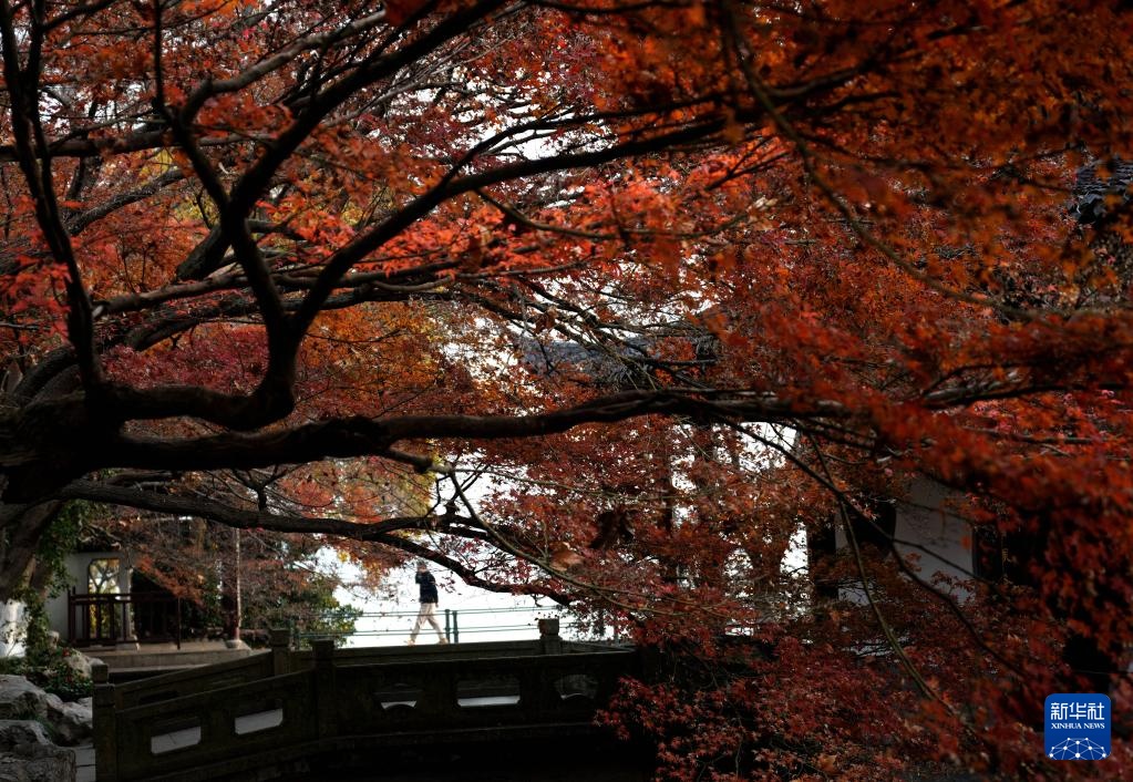 晨游西湖赏冬景 晨游西湖赏冬景