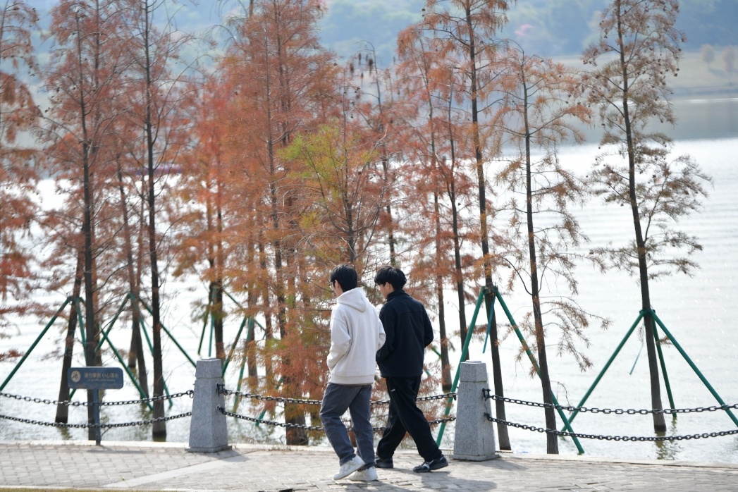 4℃！广东将迎新冷空气，洗澡请记住一组数字：42，20，5