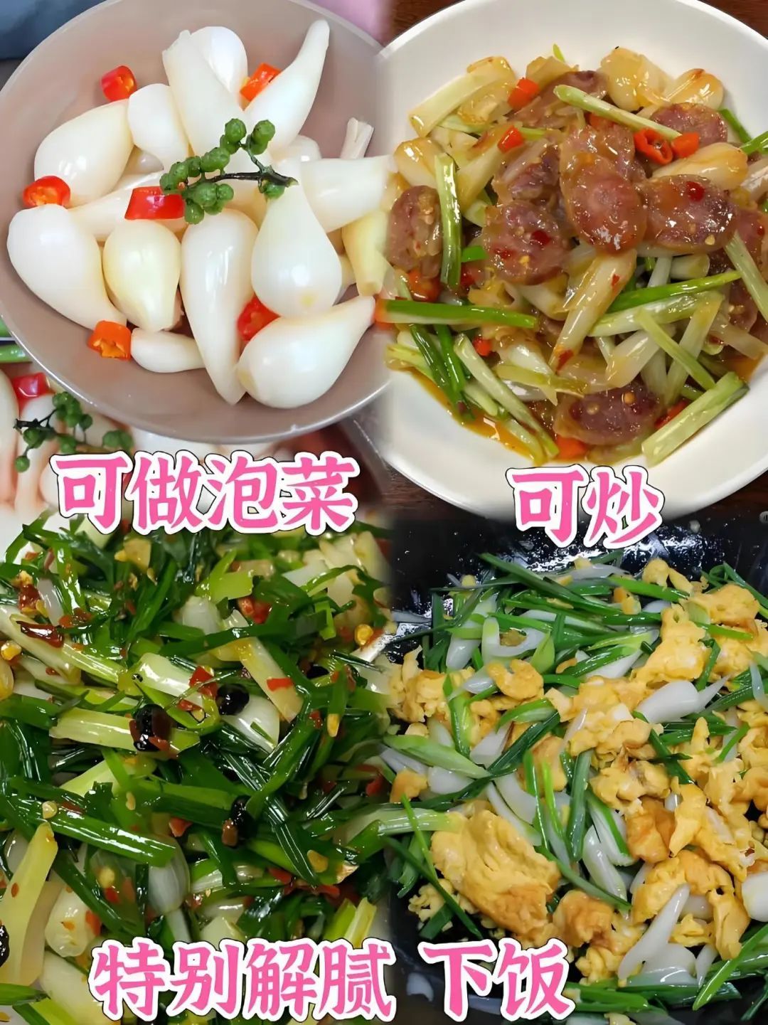 盘点那些被读错的植物 | 荸荠、蕺菜、藠头,见过吃过也听过,就是不会读? 盘点那些被读错的植物 | 荸荠、蕺菜、藠头,见过吃过也听过,就是不会读?